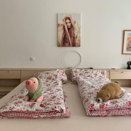 Ferienwohnung Annaberg-Buchholz Esterno foto